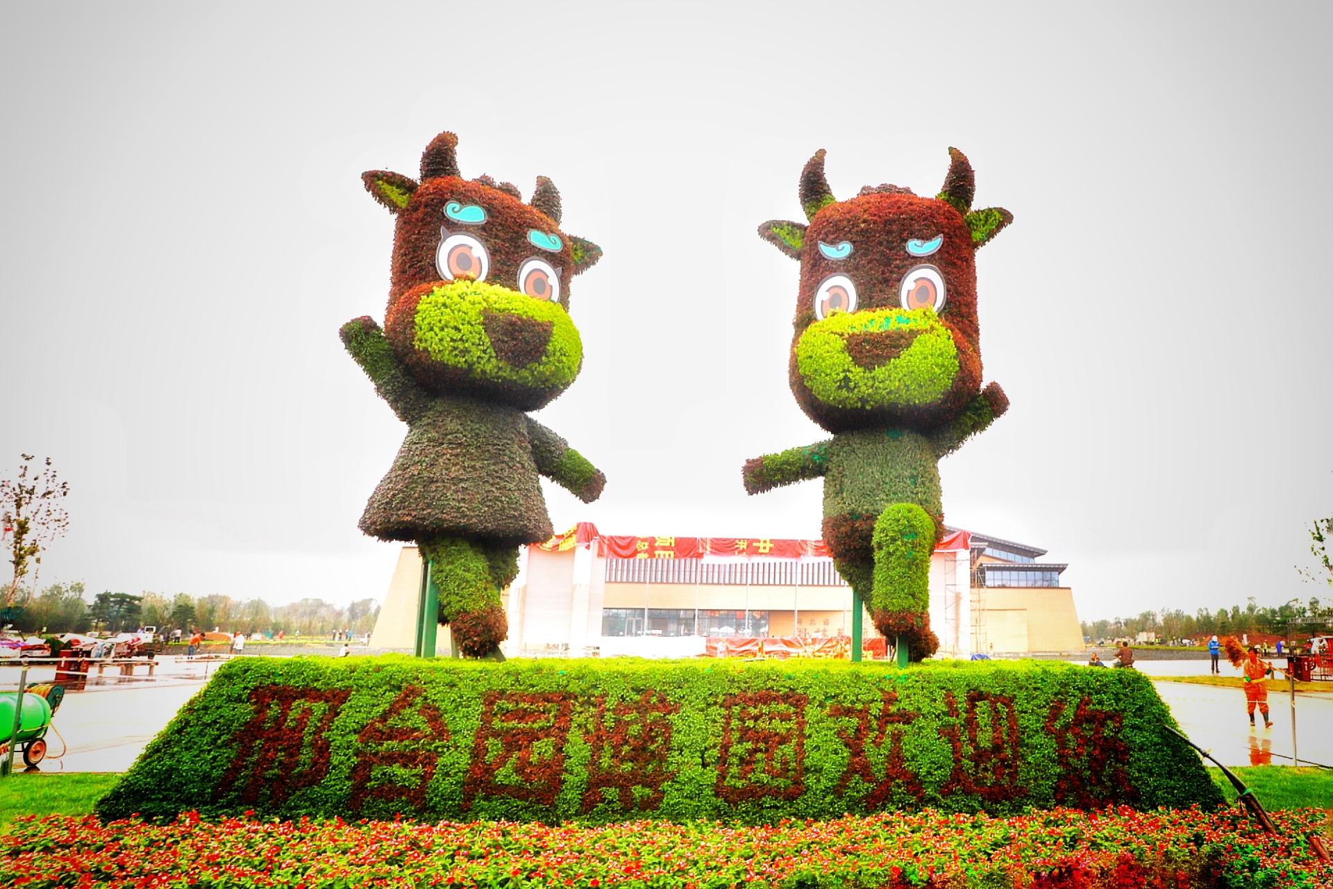 邢台日常，友情的温馨小事