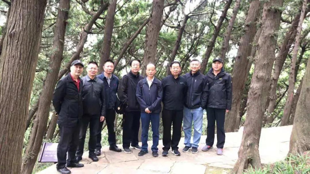 宁夏之旅，漫步自然，静享宁静之美